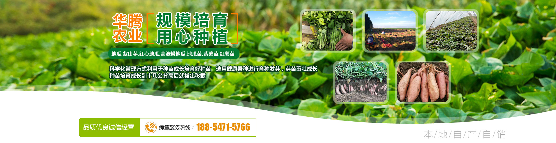 鄒城市創(chuàng  )拓礦山設備有限公司